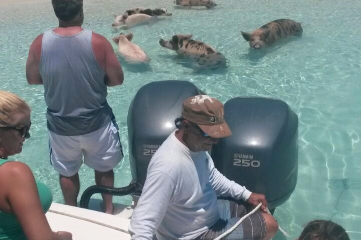 a group of people sitting at a beach