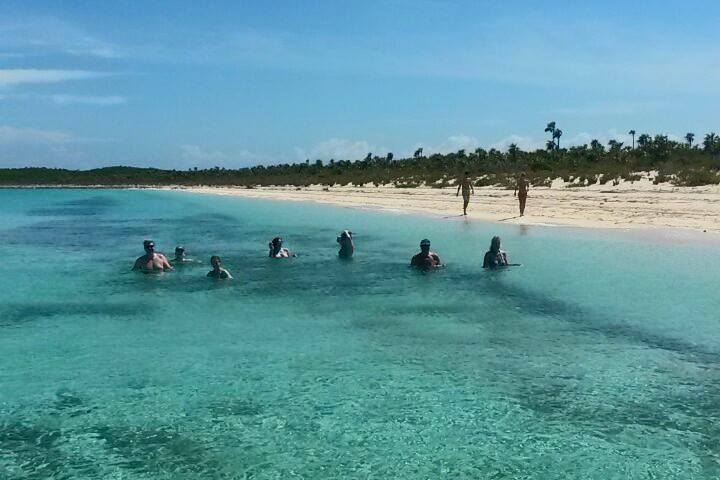 a group of people swimming in a body of water