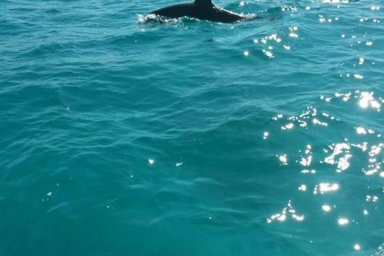 a large body of water