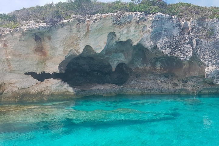 a close up of a rock next to a body of water