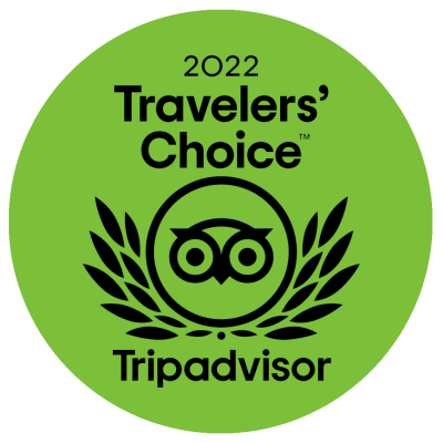 Travelers-Choice1 logo